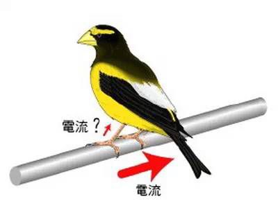 牢记这三条线，让你规避触电风险！